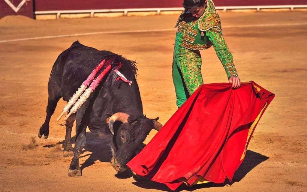 VinarósLa Casa Latina别墅 外观 照片